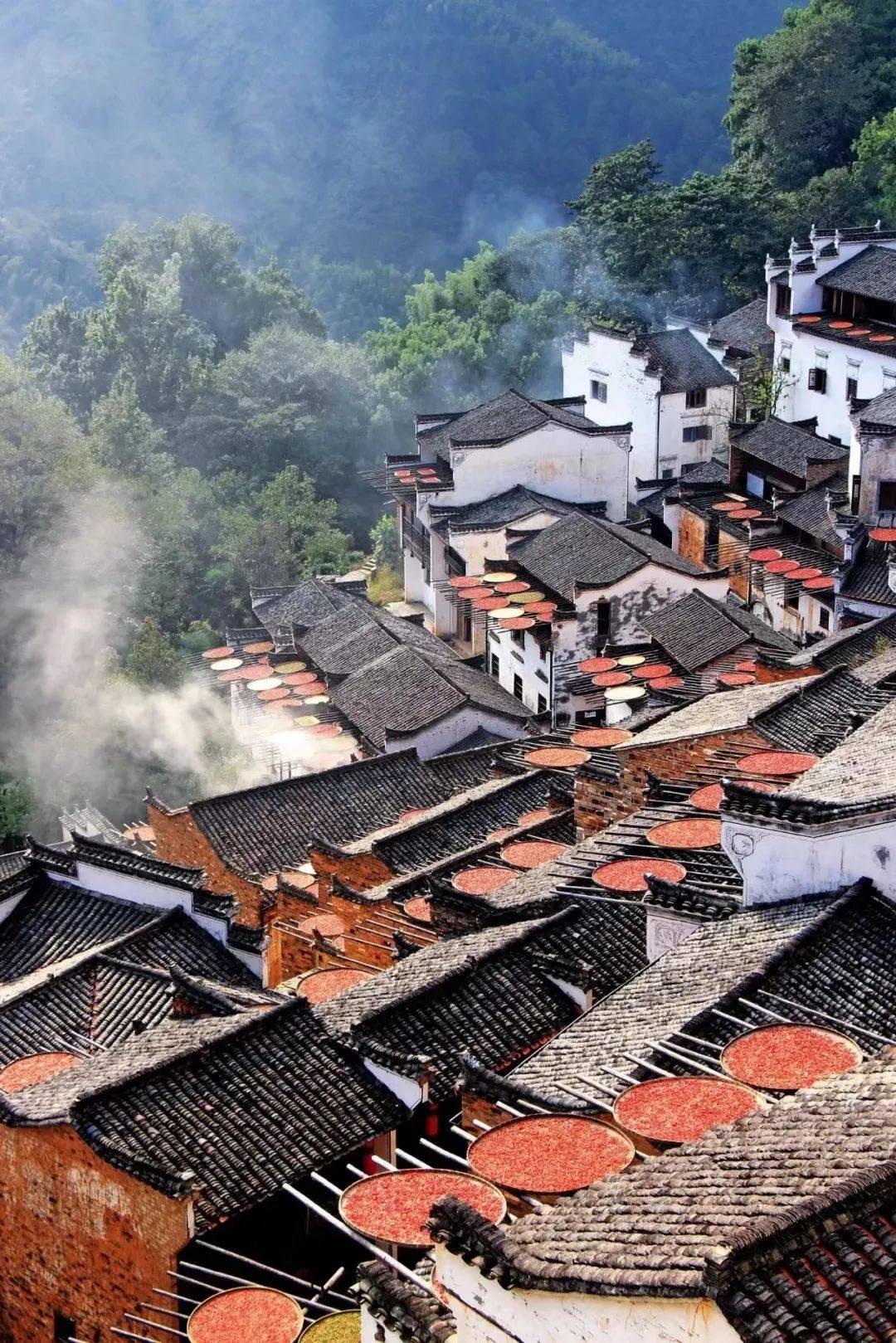 江西，绿色诗篇的播音之旅