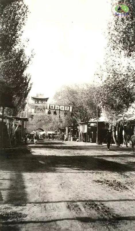 新疆，秘境之美与无限商机探索