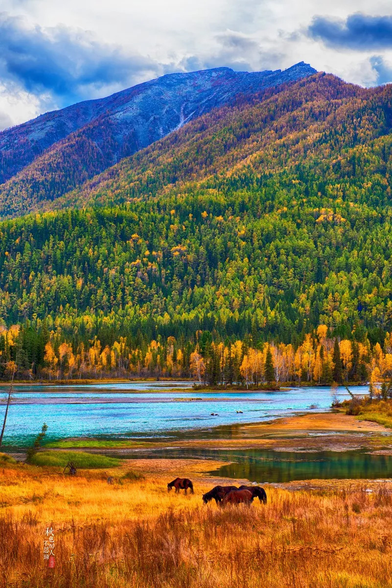 新疆盛会，领导嘉宾共聚友谊盛典