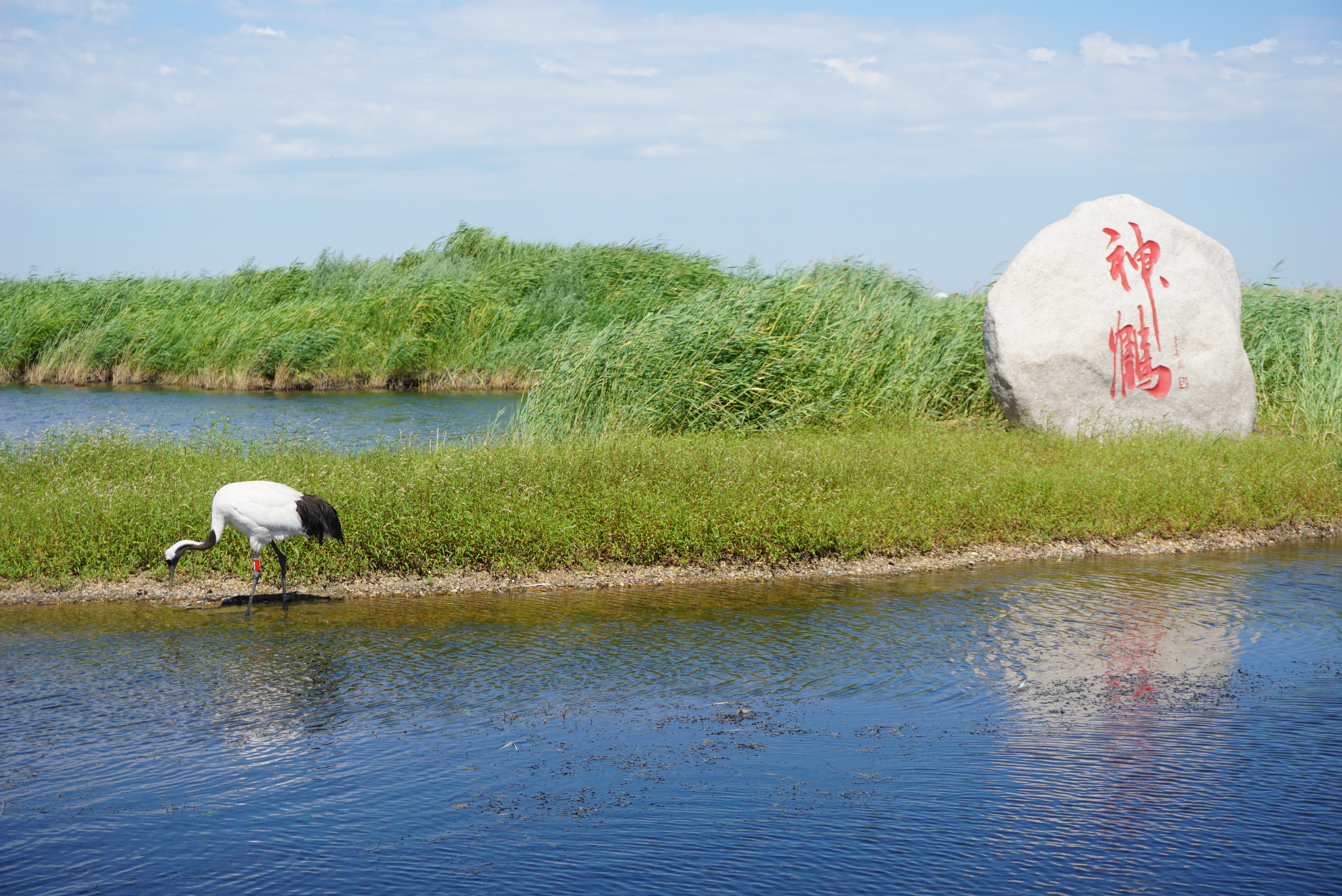 运城风采，探寻这座城市的魅力与故事